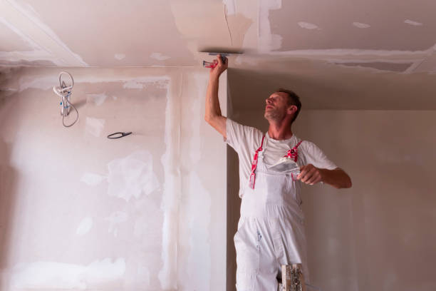 Best Drywall Removal and Disposal  in Waverly, IL